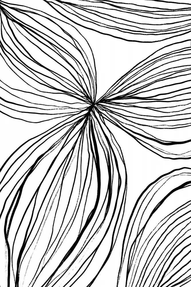 uplusmestudio: Fiorina 1