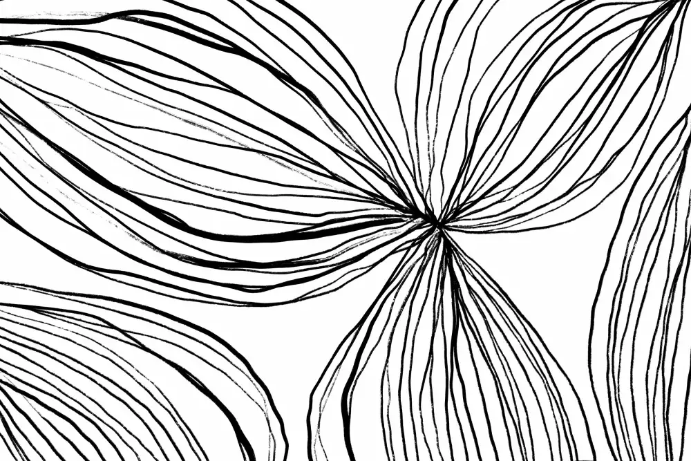 uplusmestudio: Fiorina 1