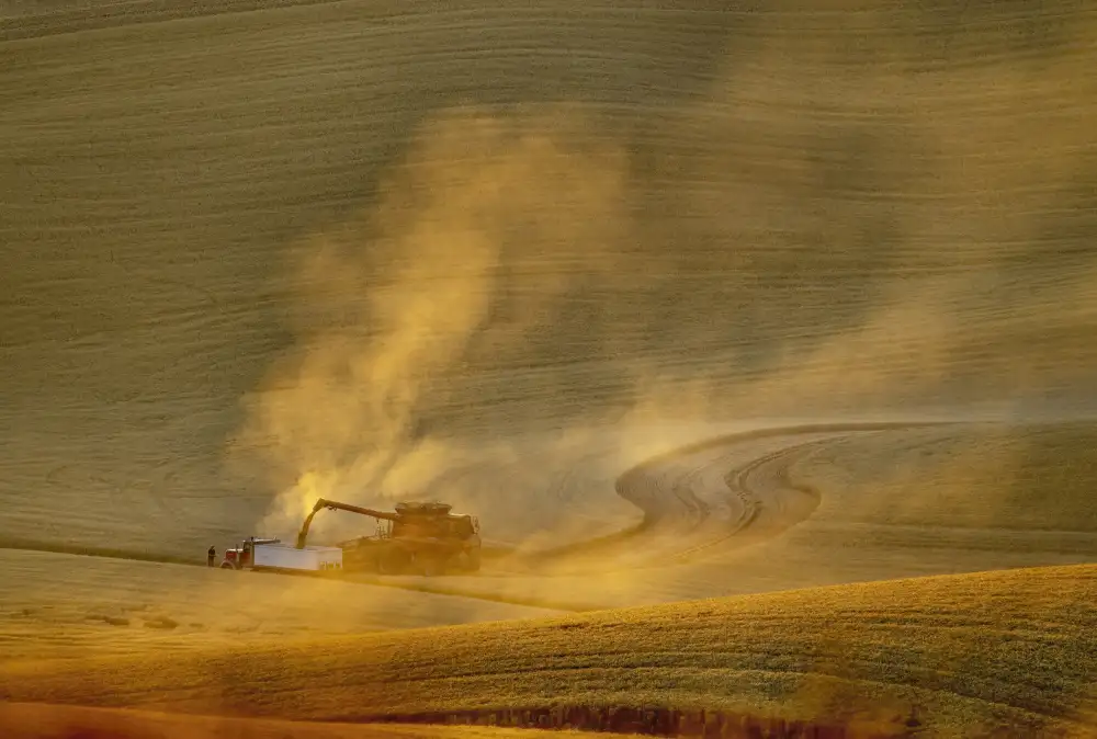 Qin, Feng: Harvesting Season