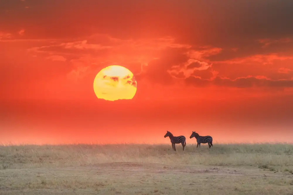 Su, Yuan: Andare a casa