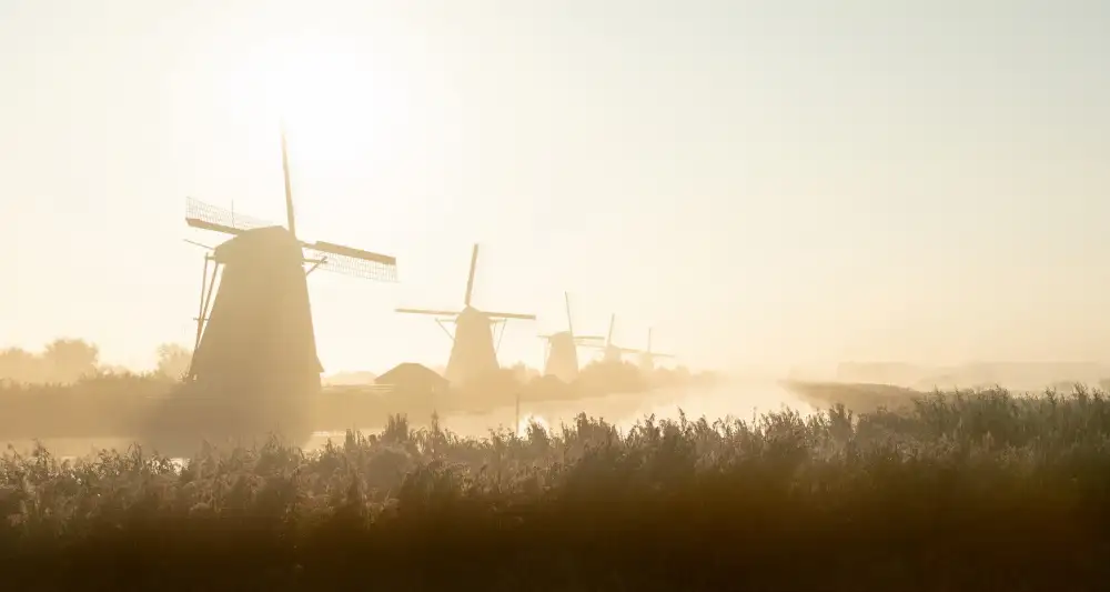 Dauria, Adam: Kinderdijk