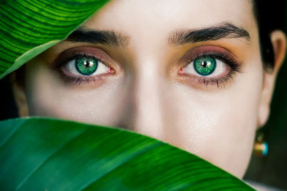 Heydari, Amir: Grüne Augen
