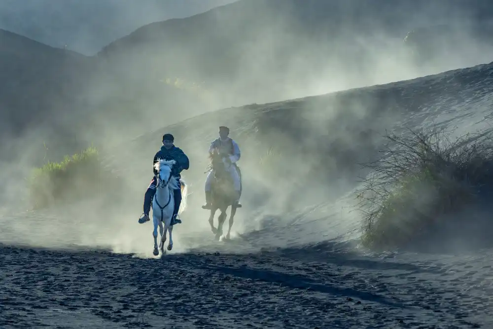 Widjaja, Sally: Reiten am Berg