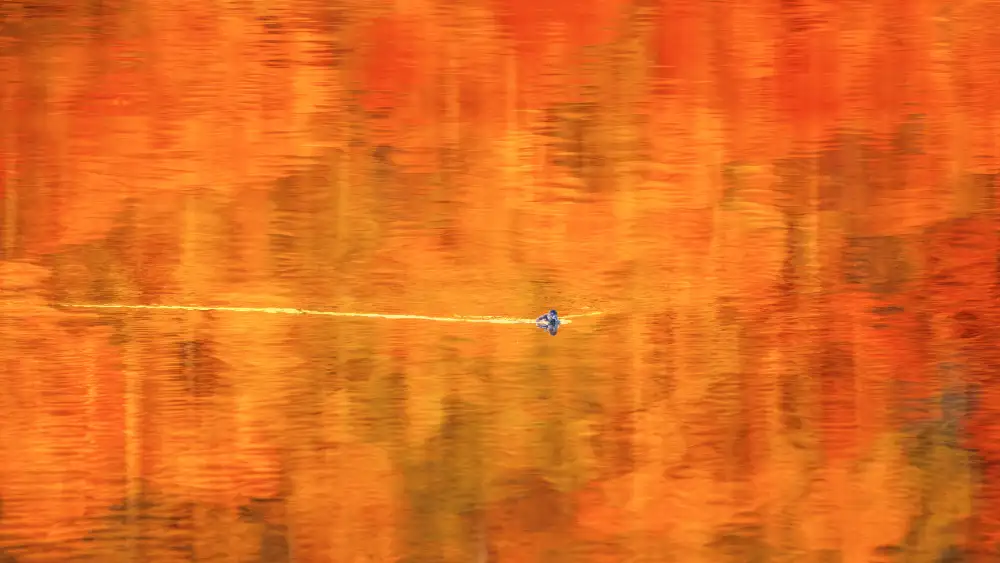 Fan, John: Der Herbstteich