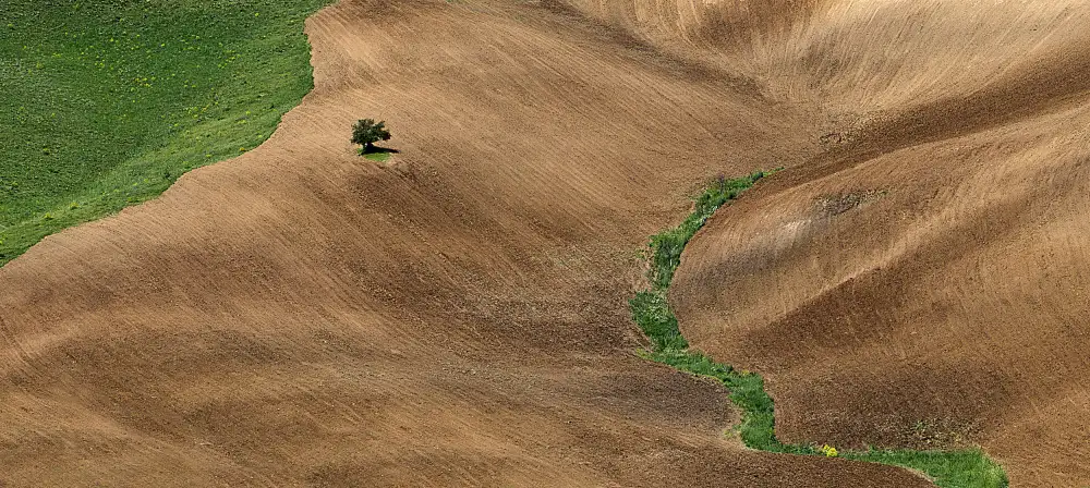Arabzadeh, Abbas: Linea verde