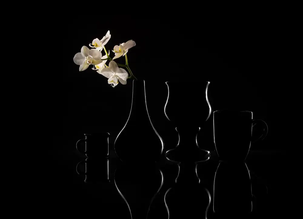 Perfoncio, Margareth: White on black
