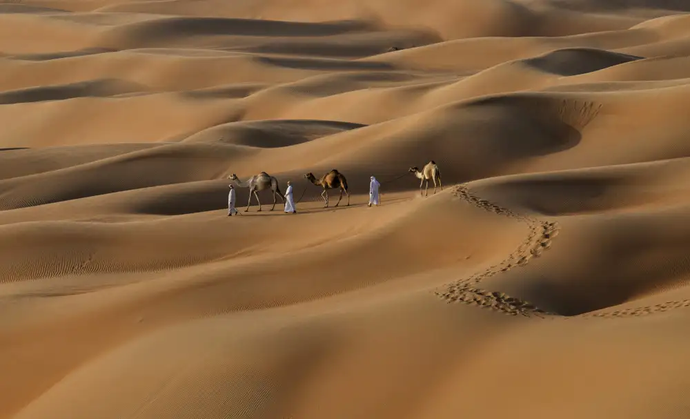 Thahaby, Al Karim: Liwa-Wüste VAE