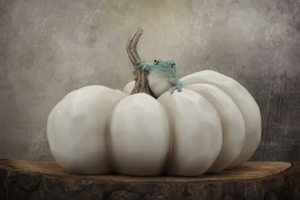 Lester, D Linda: Temporada de otoño con Bleu