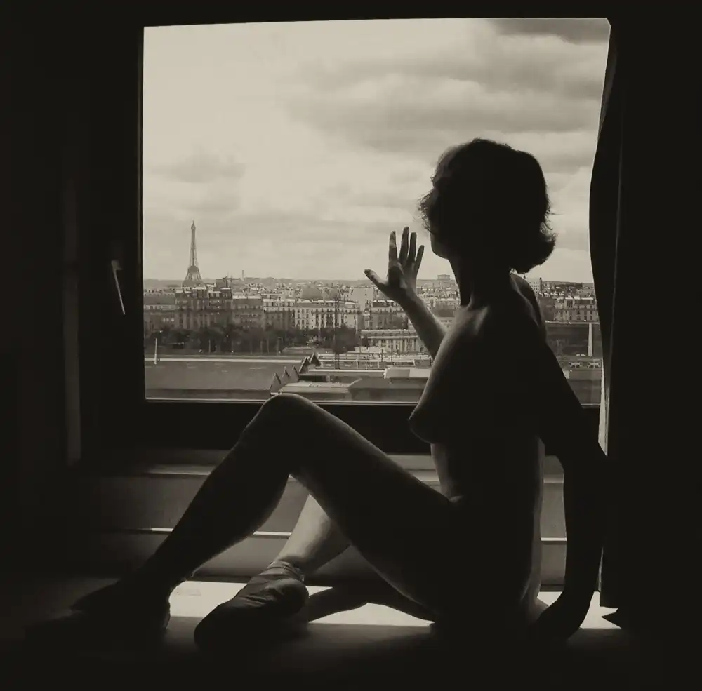 Strelok: Fenster nach Paris