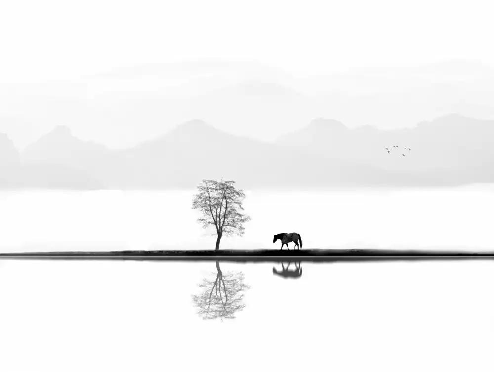 Huang, Ivan: Momento tranquillo