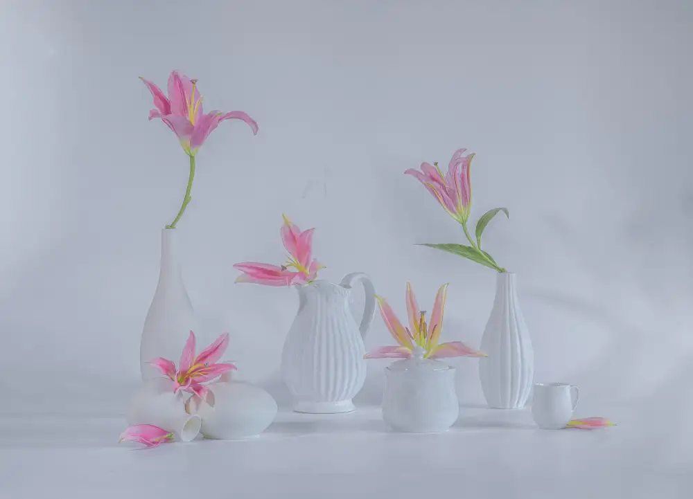 Sheng, Alice: still life 57