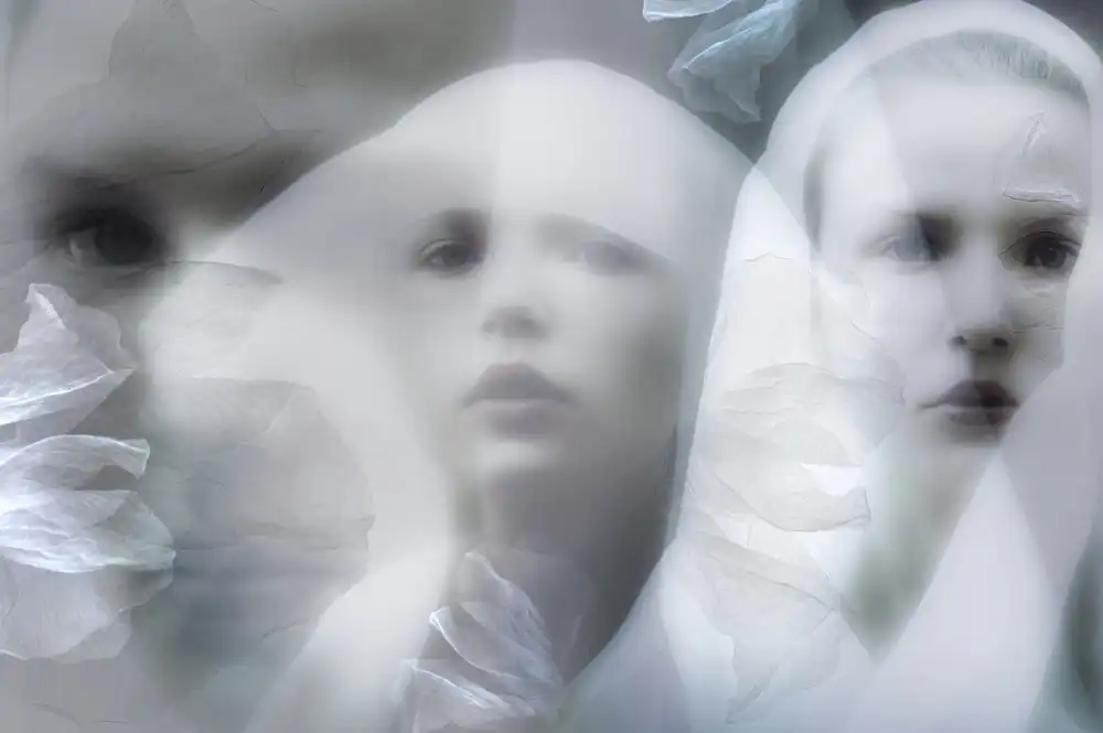Shumilova, Ludmila: Der weiße Schleier