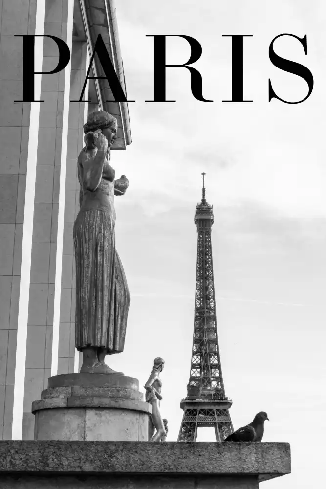 Studio, Pictufy: Paris Text 5