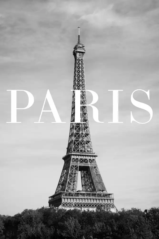 Studio, Pictufy: Texto de París 2