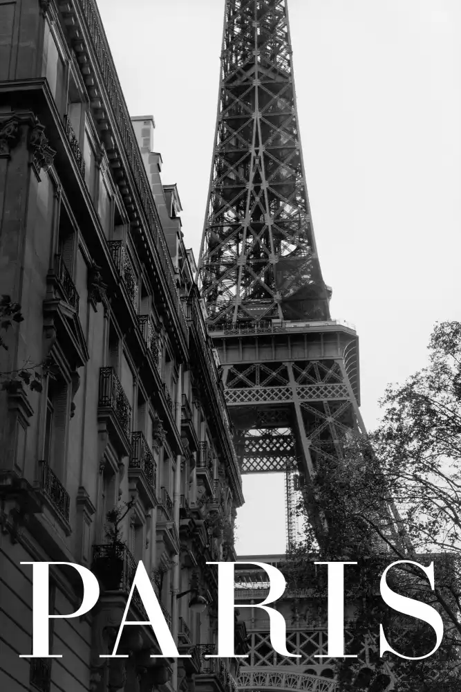Studio, Pictufy: Paris Text 1