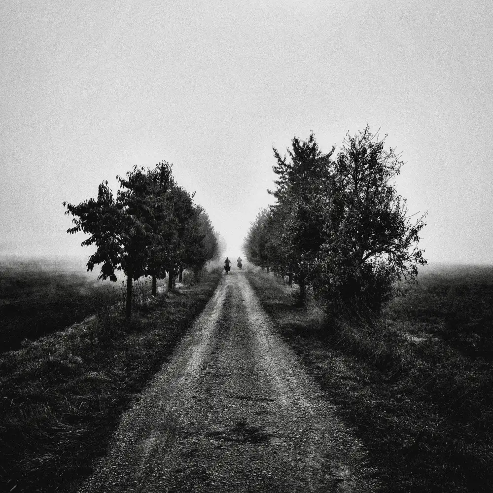 Bauer, Viktor: Misty Morning IV