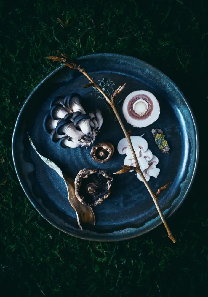 Karina, Aleksandrova: Mushrooms