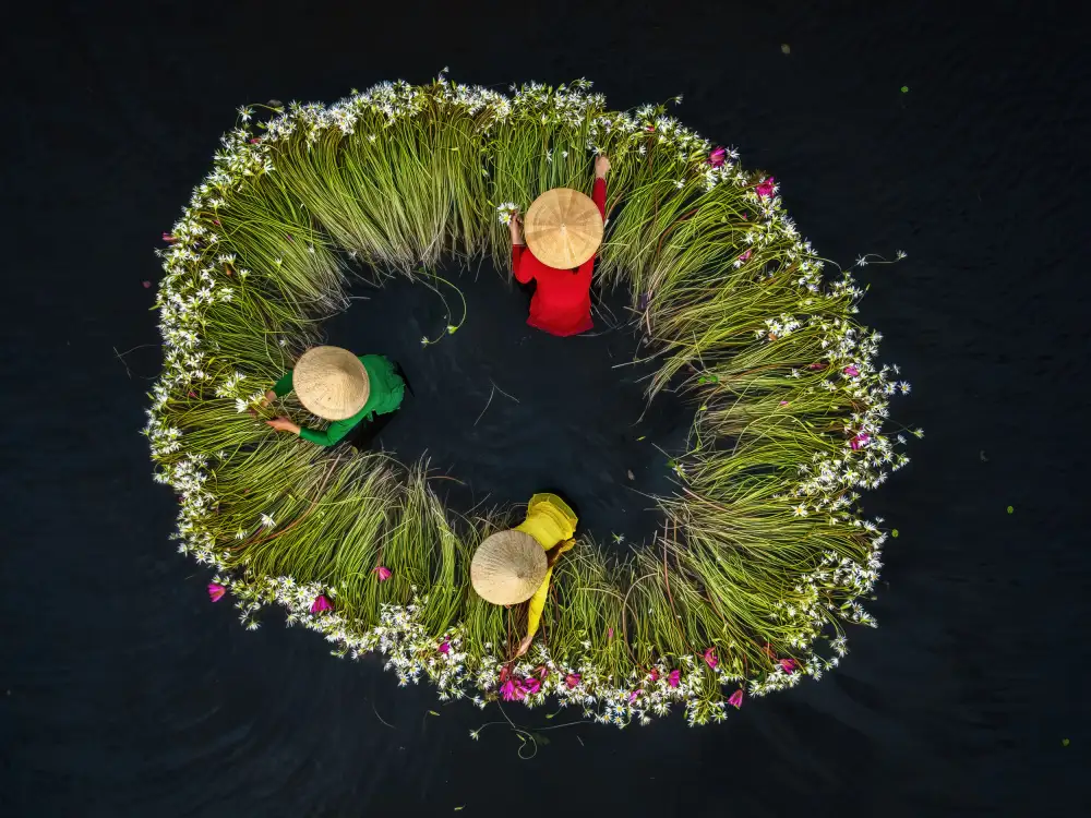Figueras, Antoni: Cueilleurs de fleurs