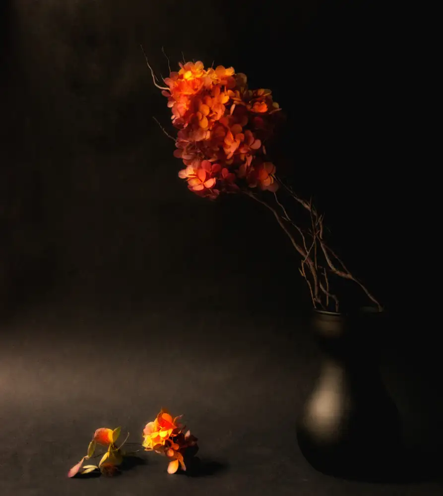 Shumilova, Ludmila: Blasse Flamme