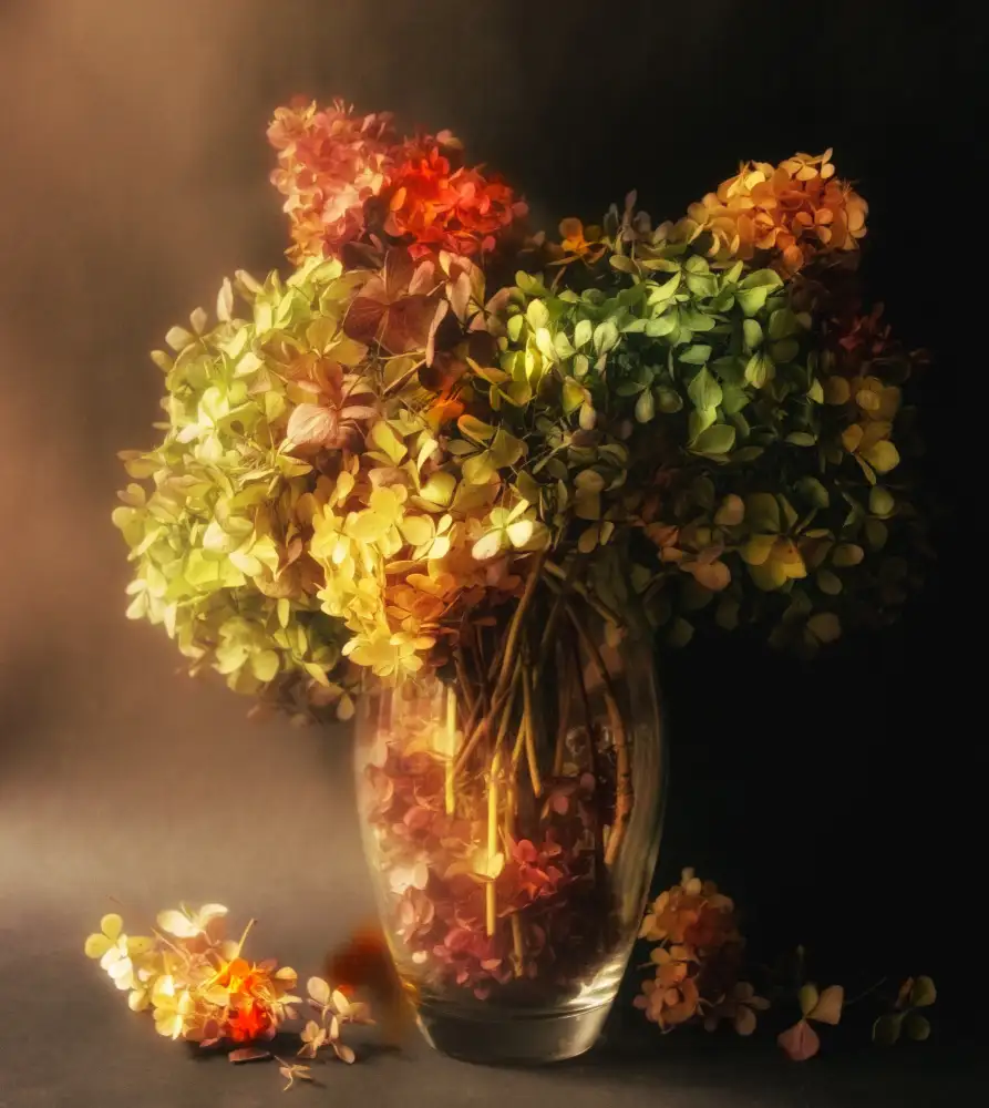 Shumilova, Ludmila: Herbststimmung