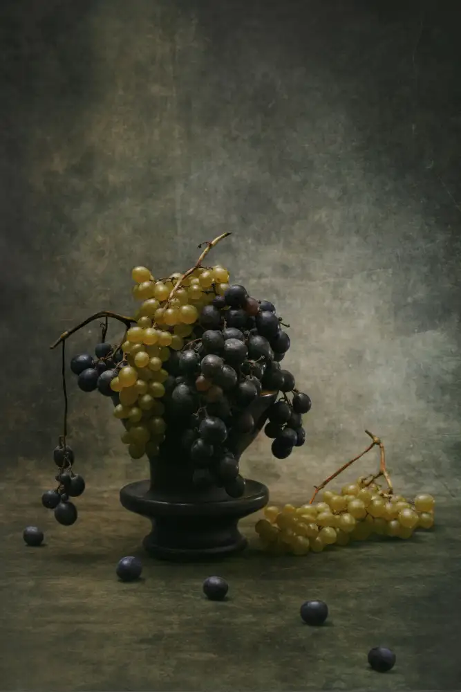 Barkow, Brig: Grape