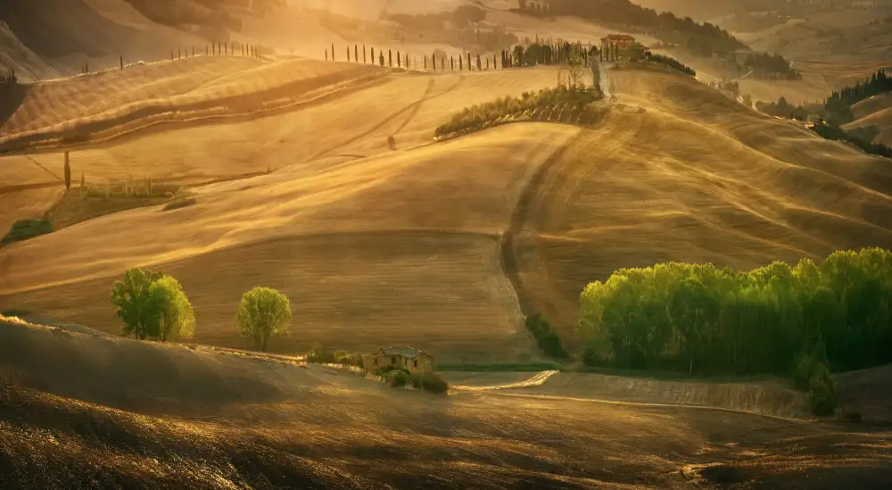 Browko, Krzysztof: Estate toscana...
