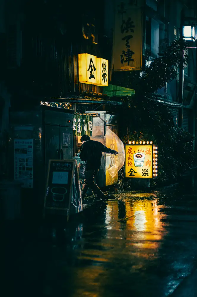 Fujii, Yuzo: Asakusa Rainy Night
