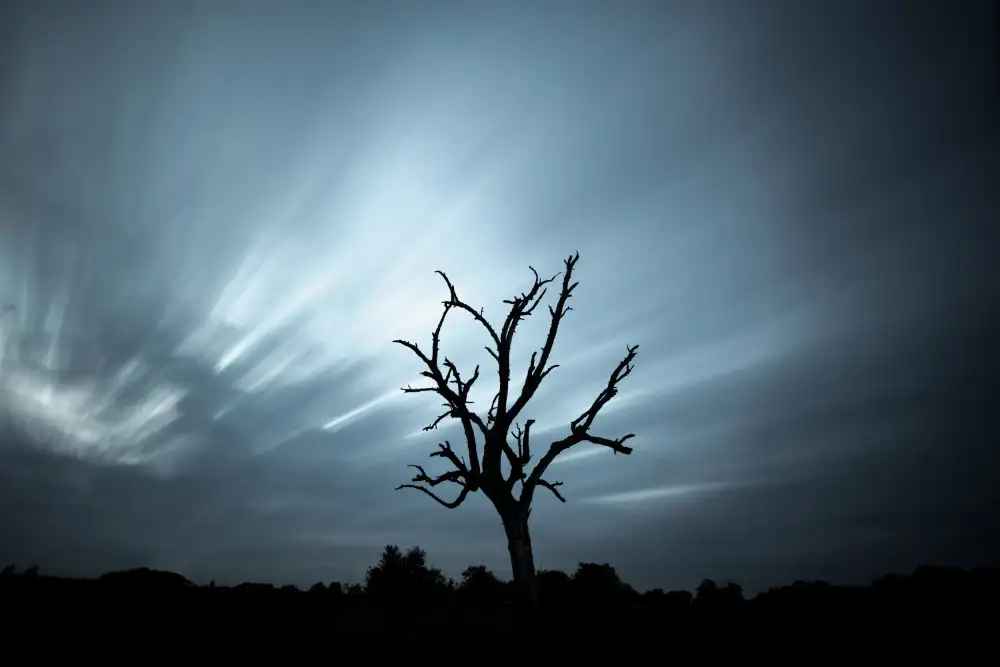 Louwen, Fred: un arbre mort