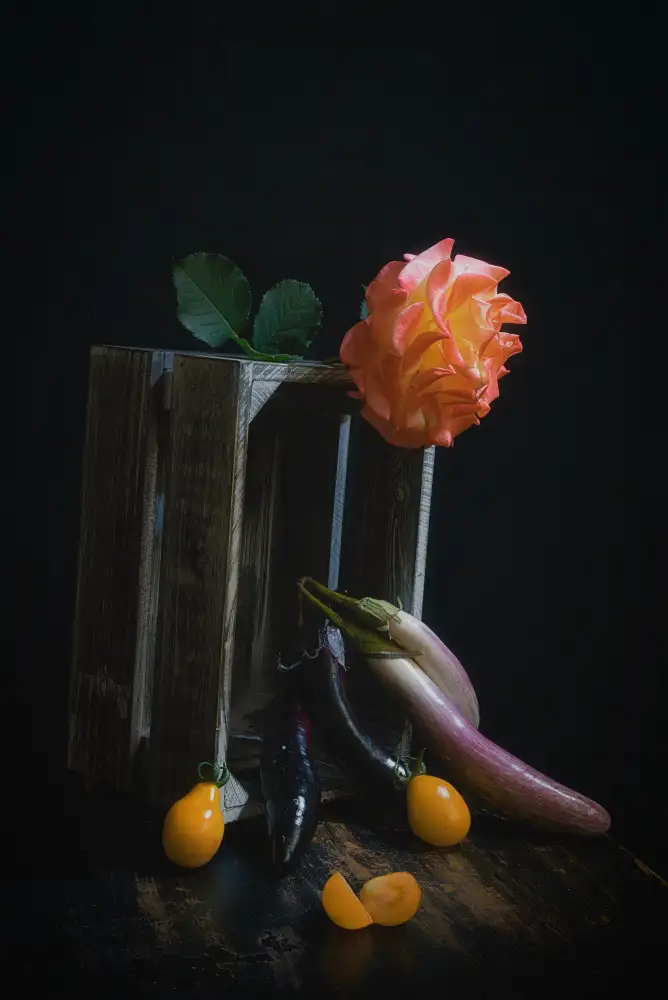 Jacobs, Lydia: Rose et aubergine