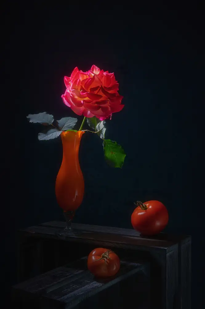 Jacobs, Lydia: Rosa brillante e pomodoro