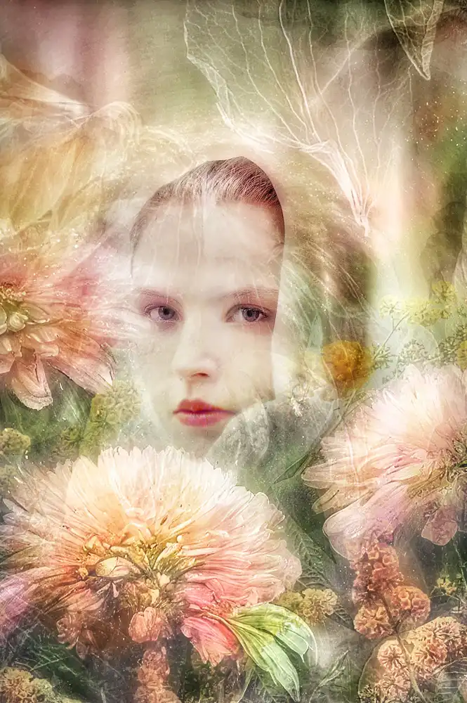 Shumilova, Ludmila: Femme aux chrysanthemes