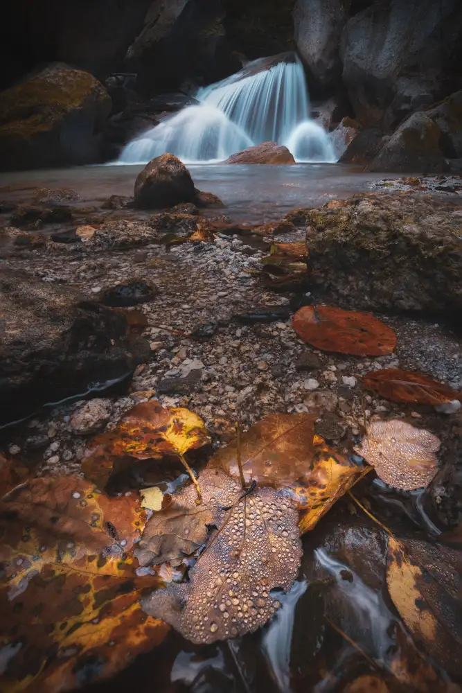 Sugita, Masaki: Foglie e cascate