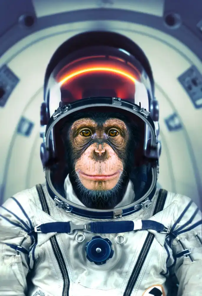 Egger, Marcel: astromono