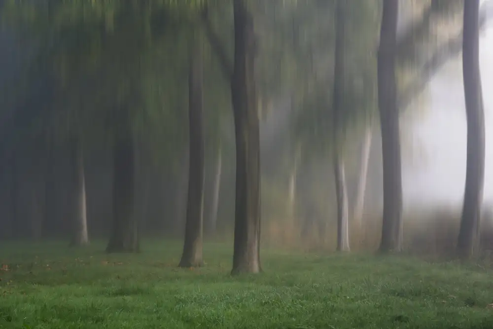 Louwen, Fred: Parc mystique