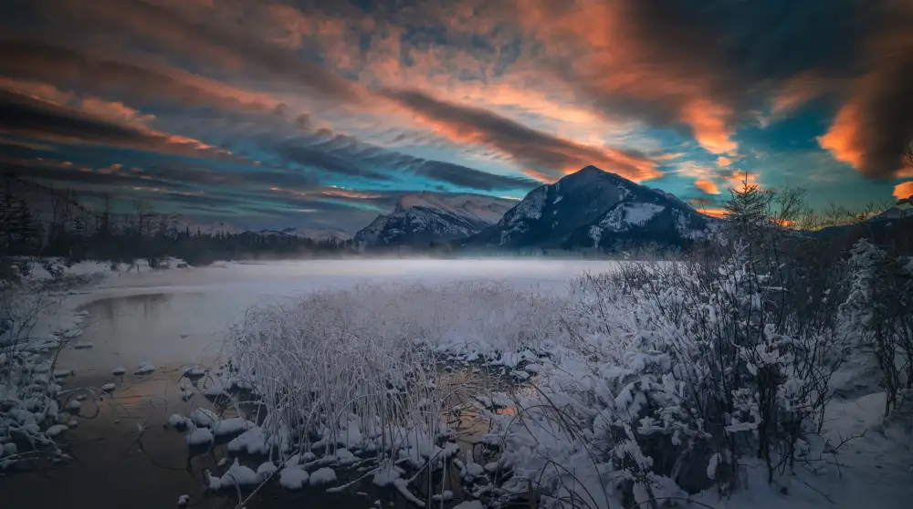 Li, Bing: Ein warmer Morgen an einem kalten Wintertag
