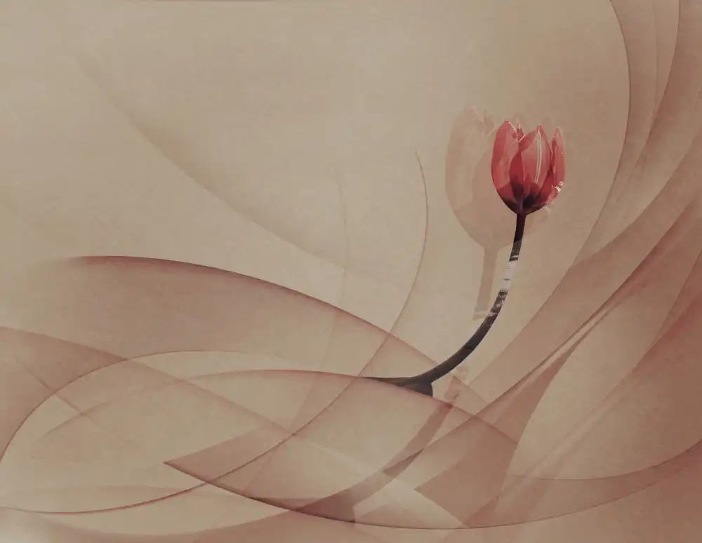 Ignatova, Desislava: lines
