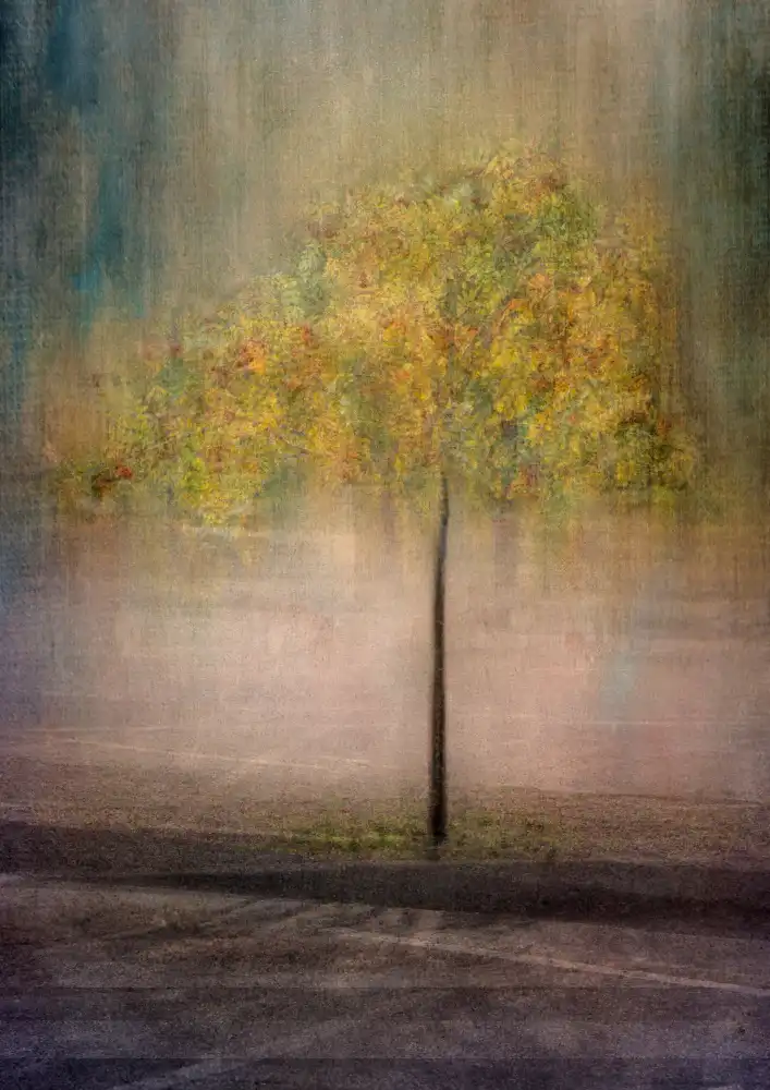 Holmström, Katarina: Rowan in città
