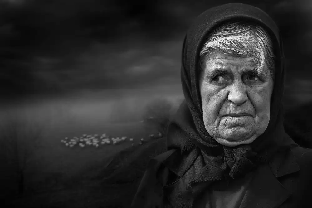 Palacios, Antonio Juan: Portrait de femme