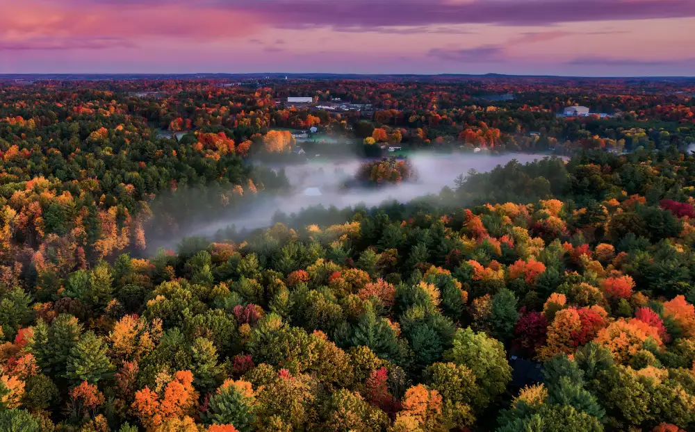 Qiu, Jenny: An Autumn Morning in Ontario