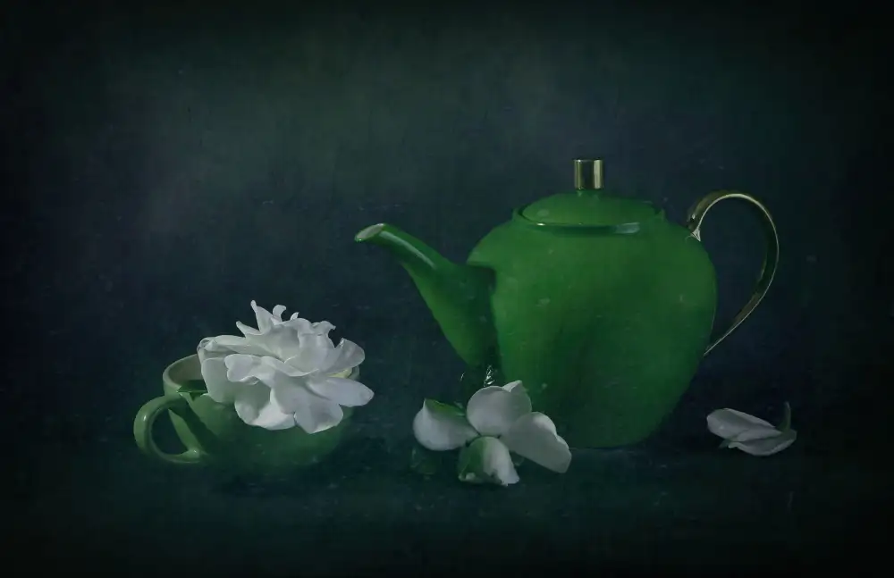 Zhou, Fangping: Gardenia
