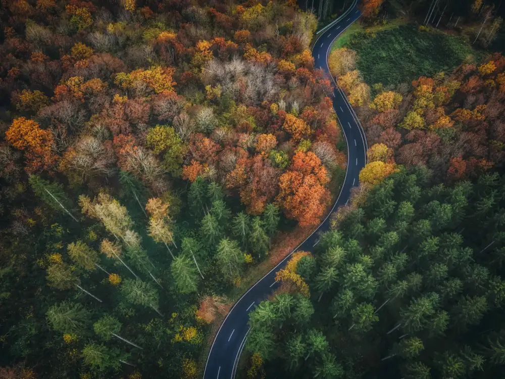 Krier, Guy: Autumn Road