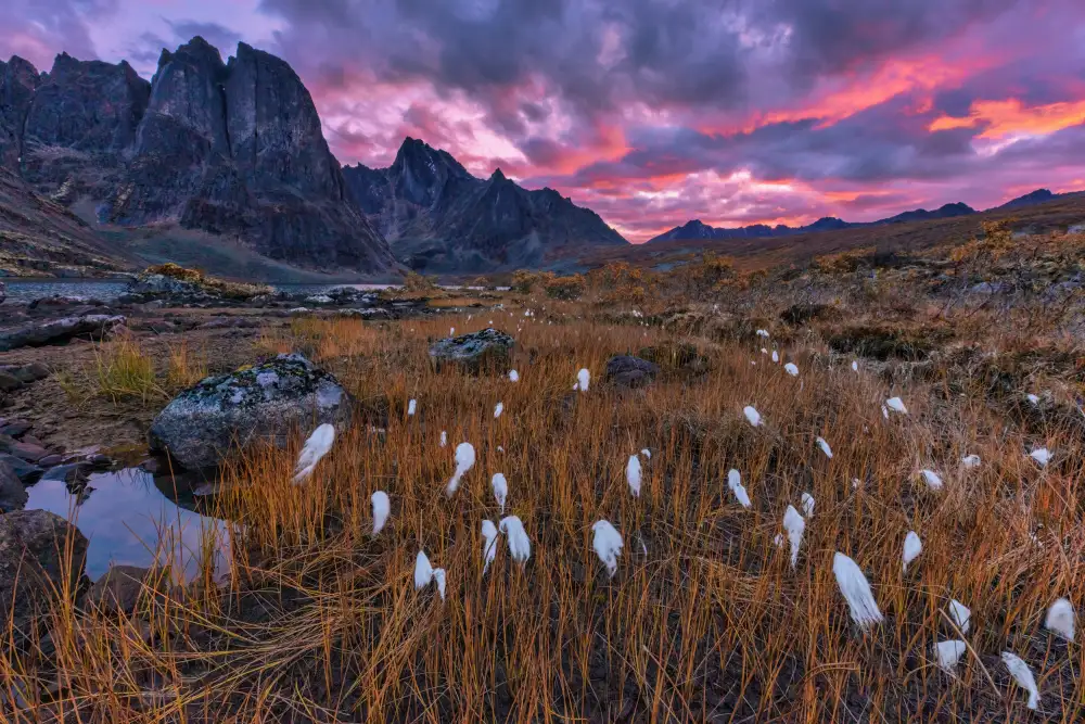 Zuo, Jun: Herbstfarbe im Berg