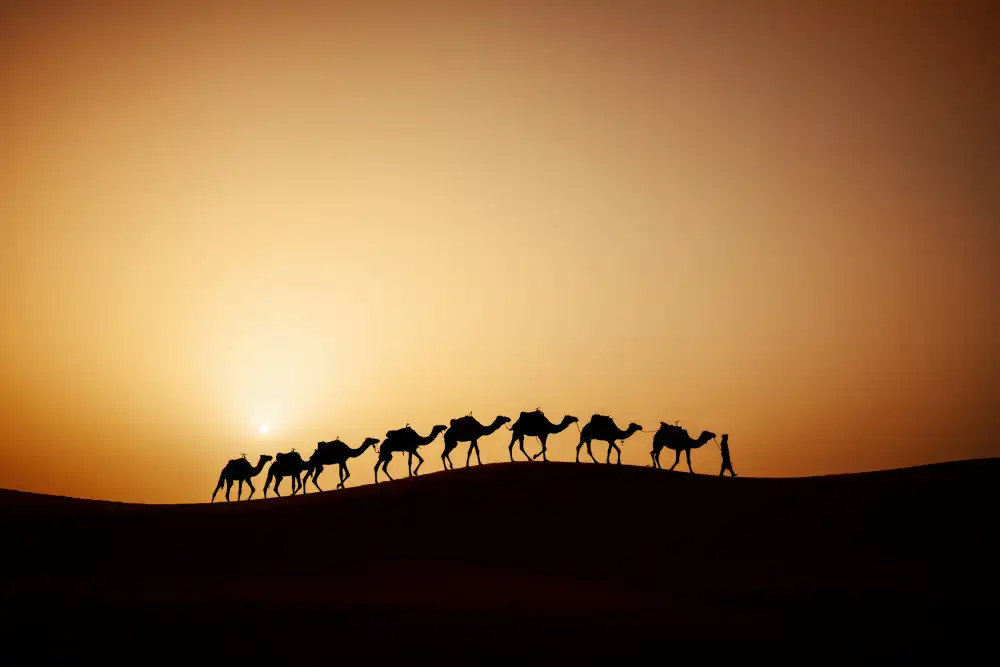 Adrian: Caravan