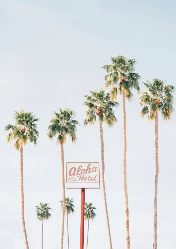 Pienaar, Kathrin: Aloha Hotel