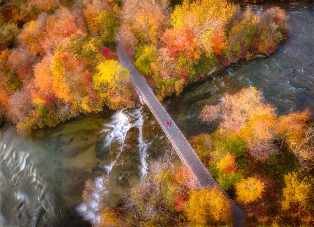 Lu, Ling: Autumn Bridge
