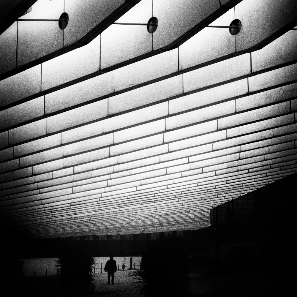 Abrantes, Paulo: Sky Lines