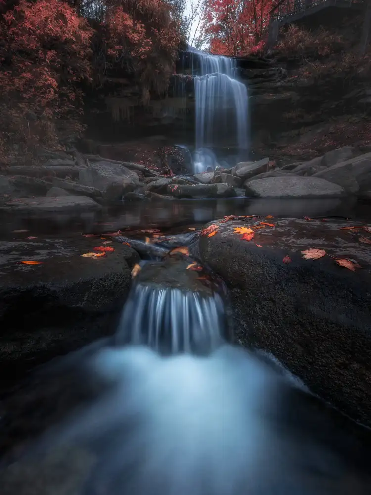 Zhou, Steven: Cascadas en otoño 2