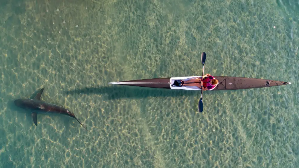 Meirovich, Ido: kayak con tiburones