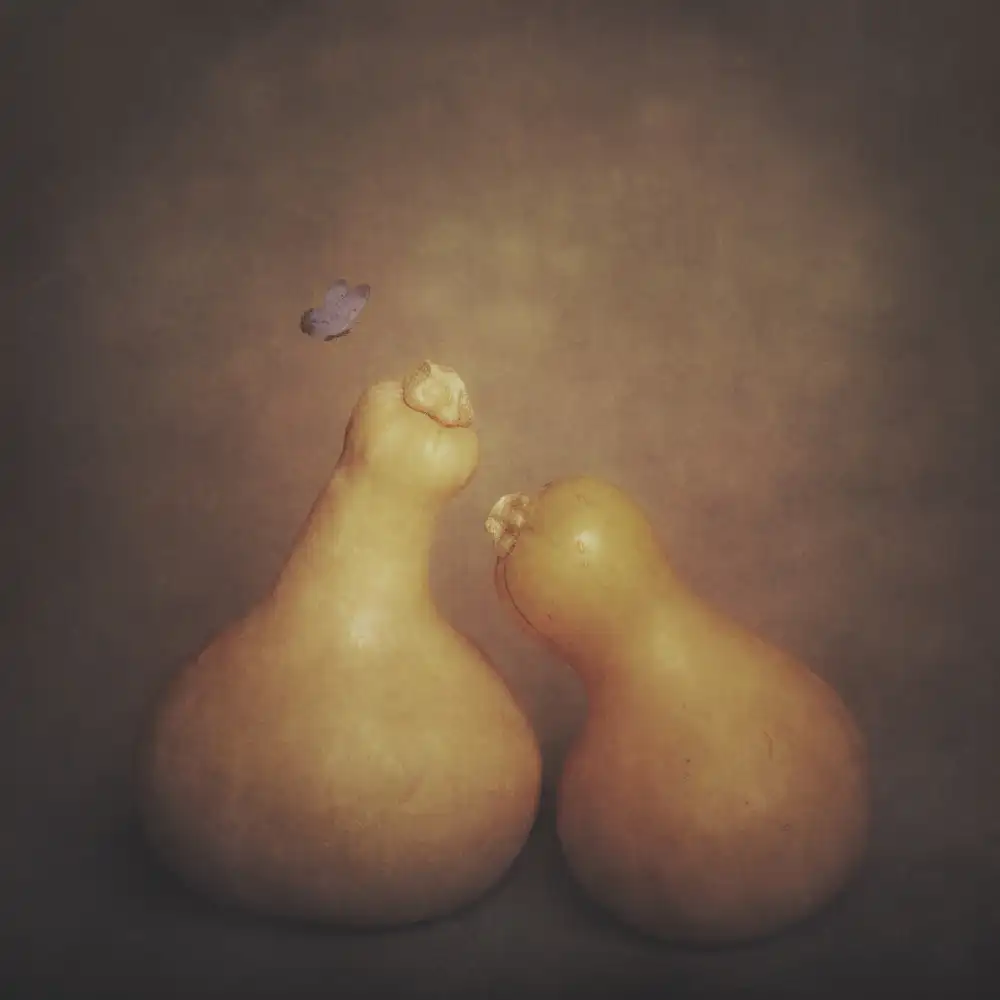 Kiral, Cicek: Gourdes