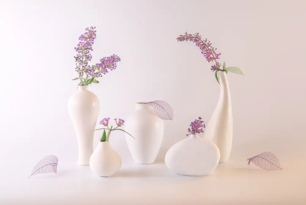 May, G.: Buddleia